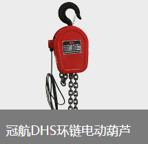 環鏈電動葫蘆行車運行啃軌的原因